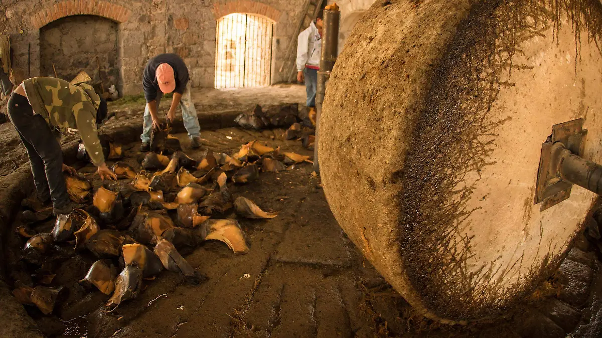 Fabrica de  Mezcal Peñasco (8)